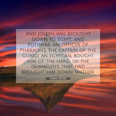 Picture 07 - Genesis 39:1 ASV - And Joseph was brought down to Egypt; and - Bible Verse Picture