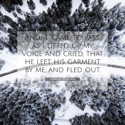Picture 07 - Genesis 39:18 ASV - and it came to pass, as I lifted up my voice and - Bible Verse Picture