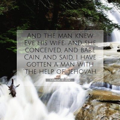 Picture 07 - Genesis 4:1 ASV - And the man knew Eve his wife; and she conceived, - Bible Verse Picture