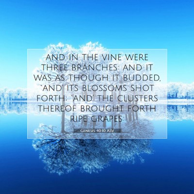 Picture 07 - Genesis 40:10 ASV - and in the vine were three branches: and it was - Bible Verse Picture