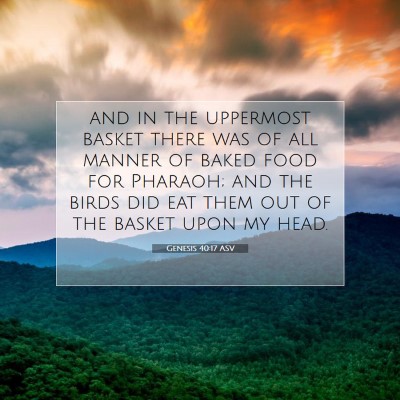 Picture 07 - Genesis 40:17 ASV - and in the uppermost basket there was of all - Bible Verse Picture
