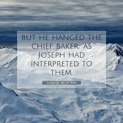 Picture 07 - Genesis 40:22 ASV - but he hanged the chief baker: as Joseph had - Bible Verse Picture