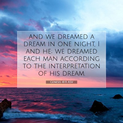 Picture 07 - Genesis 41:11 ASV - and we dreamed a dream in one night, I and he; we - Bible Verse Picture
