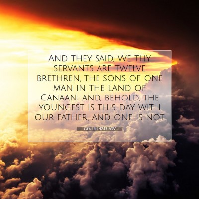 Picture 07 - Genesis 42:13 ASV - And they said, We thy servants are twelve - Bible Verse Picture