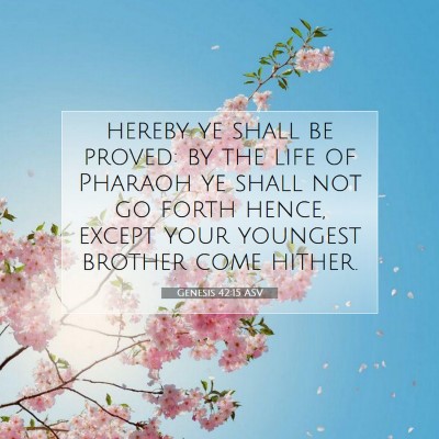 Picture 07 - Genesis 42:15 ASV - hereby ye shall be proved: by the life of Pharaoh - Bible Verse Picture