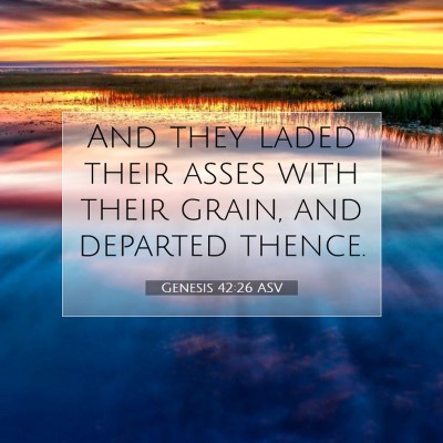 Picture 07 - Genesis 42:26 ASV - And they laded their asses with their grain, and - Bible Verse Picture