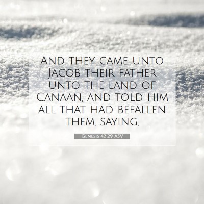 Picture 07 - Genesis 42:29 ASV - And they came unto Jacob their father unto the - Bible Verse Picture