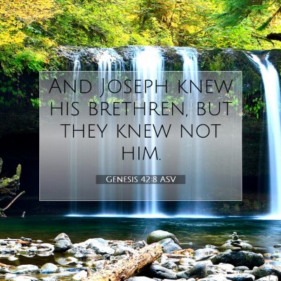 Picture 07 - Genesis 42:8 ASV - And Joseph knew his brethren, but they knew not - Bible Verse Picture