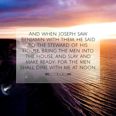 Picture 07 - Genesis 43:16 ASV - And when Joseph saw Benjamin with them, he said - Bible Verse Picture