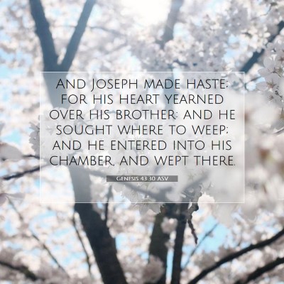 Picture 07 - Genesis 43:30 ASV - And Joseph made haste; for his heart yearned over - Bible Verse Picture