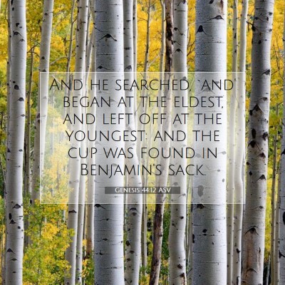 Picture 07 - Genesis 44:12 ASV - And he searched, `and' began at the eldest, and - Bible Verse Picture