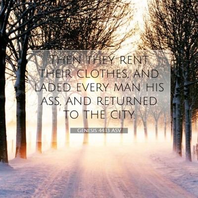 Picture 07 - Genesis 44:13 ASV - Then they rent their clothes, and laded every man - Bible Verse Picture