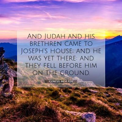Picture 07 - Genesis 44:14 ASV - And Judah and his brethren came to Joseph's - Bible Verse Picture