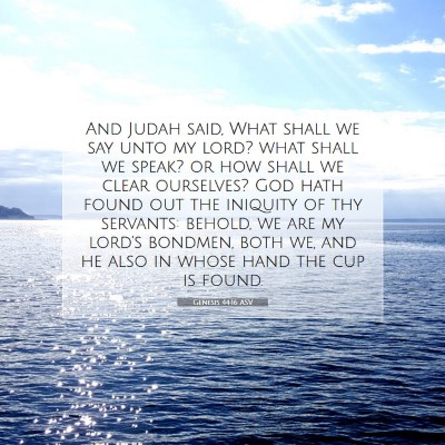 Picture 07 - Genesis 44:16 ASV - And Judah said, What shall we say unto my lord? - Bible Verse Picture