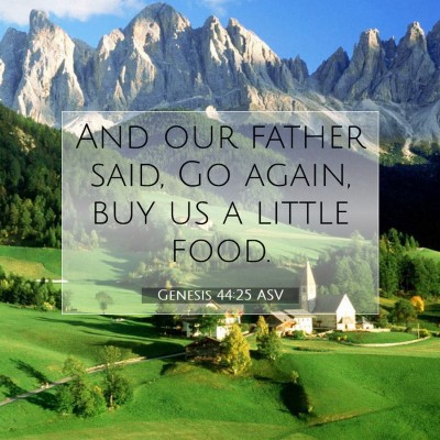 Picture 07 - Genesis 44:25 ASV - And our father said, Go again, buy us a little - Bible Verse Picture