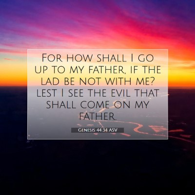 Picture 07 - Genesis 44:34 ASV - For how shall I go up to my father, if the lad be - Bible Verse Picture