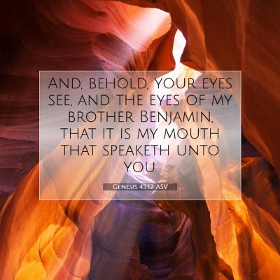 Picture 07 - Genesis 45:12 ASV - And, behold, your eyes see, and the eyes of my - Bible Verse Picture