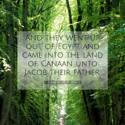 Picture 07 - Genesis 45:25 ASV - And they went up out of Egypt, and came into the - Bible Verse Picture