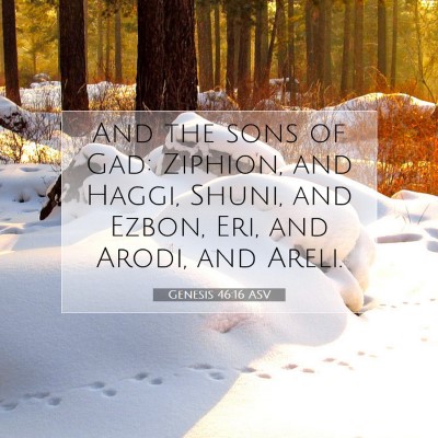 Picture 07 - Genesis 46:16 ASV - And the sons of Gad: Ziphion, and Haggi, Shuni, - Bible Verse Picture