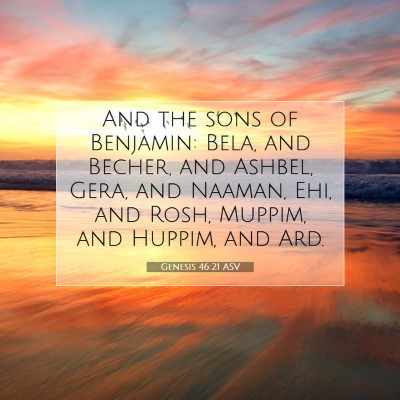 Picture 07 - Genesis 46:21 ASV - And the sons of Benjamin: Bela, and Becher, and - Bible Verse Picture