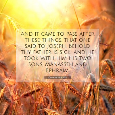 Picture 07 - Genesis 48:1 ASV - And it came to pass after these things, that one - Bible Verse Picture