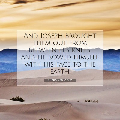 Picture 07 - Genesis 48:12 ASV - And Joseph brought them out from between his - Bible Verse Picture