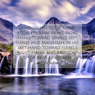 Picture 07 - Genesis 48:13 ASV - And Joseph took them both, Ephraim in his right - Bible Verse Picture