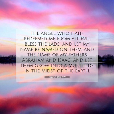 Picture 07 - Genesis 48:16 ASV - the angel who hath redeemed me from all evil, - Bible Verse Picture