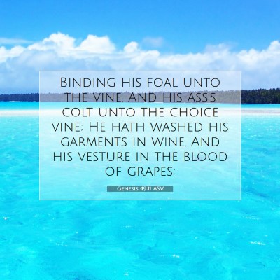 Picture 07 - Genesis 49:11 ASV - Binding his foal unto the vine, And his ass's - Bible Verse Picture
