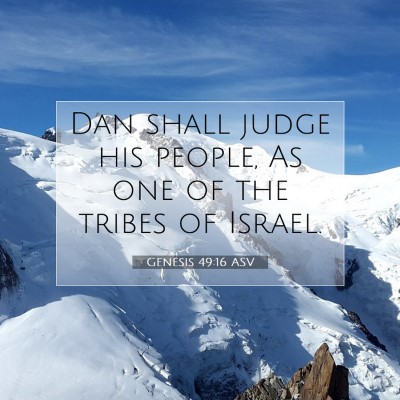 Picture 07 - Genesis 49:16 ASV - Dan shall judge his people, As one of the tribes - Bible Verse Picture