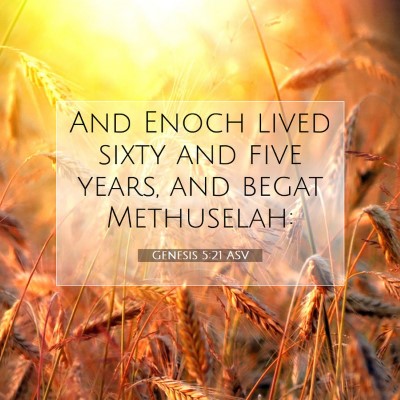 Picture 07 - Genesis 5:21 ASV - And Enoch lived sixty and five years, and begat - Bible Verse Picture