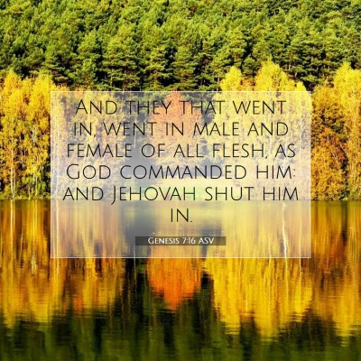 Picture 07 - Genesis 7:16 ASV - And they that went in, went in male and female of - Bible Verse Picture