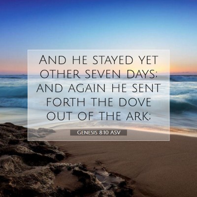 Picture 07 - Genesis 8:10 ASV - And he stayed yet other seven days; and again he - Bible Verse Picture