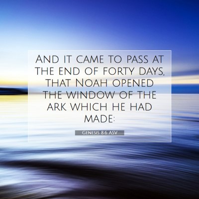 Picture 07 - Genesis 8:6 ASV - And it came to pass at the end of forty days, - Bible Verse Picture