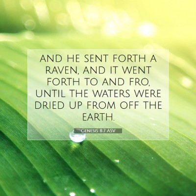 Picture 07 - Genesis 8:7 ASV - and he sent forth a raven, and it went forth to - Bible Verse Picture