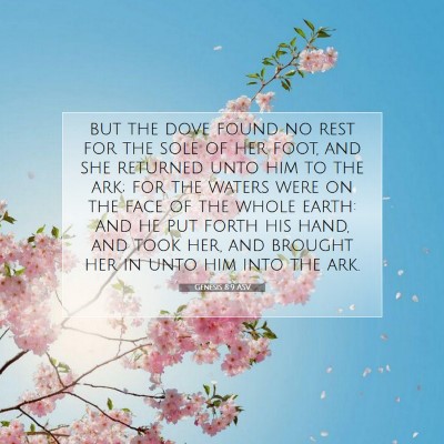 Picture 07 - Genesis 8:9 ASV - but the dove found no rest for the sole of her - Bible Verse Picture