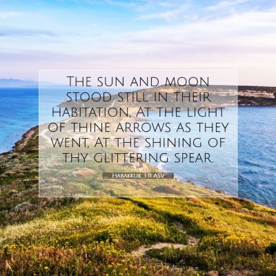 Picture 07 - Habakkuk 3:11 ASV - The sun and moon stood still in their habitation, - Bible Verse Picture