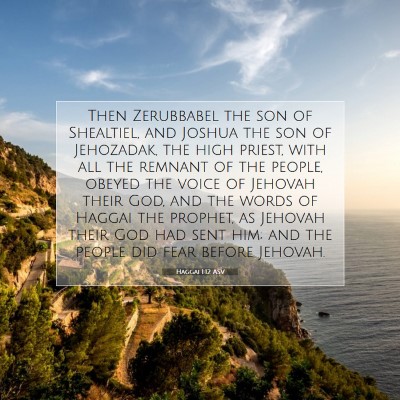 Picture 07 - Haggai 1:12 ASV - Then Zerubbabel the son of Shealtiel, and Joshua - Bible Verse Picture