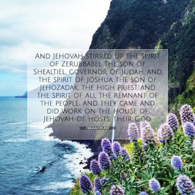 Picture 07 - Haggai 1:14 ASV - And Jehovah stirred up the spirit of Zerubbabel - Bible Verse Picture