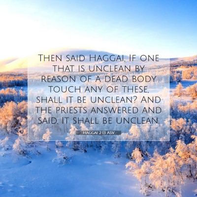 Picture 07 - Haggai 2:13 ASV - Then said Haggai, If one that is unclean by - Bible Verse Picture