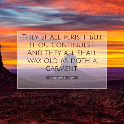 Picture 07 - Hebrews 1:11 ASV - They shall perish; but thou continuest: And they - Bible Verse Picture