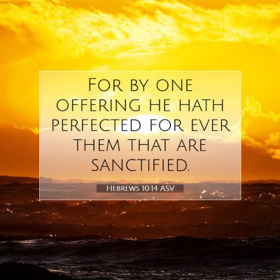 Picture 07 - Hebrews 10:14 ASV - For by one offering he hath perfected for ever - Bible Verse Picture