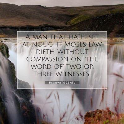 Picture 07 - Hebrews 10:28 ASV - A man that hath set at nought Moses law dieth - Bible Verse Picture