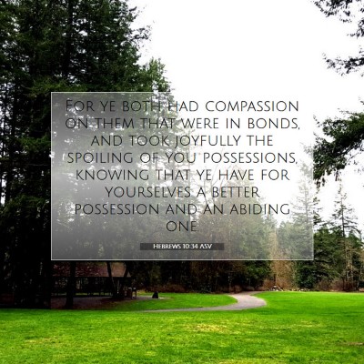 Picture 07 - Hebrews 10:34 ASV - For ye both had compassion on them that were in - Bible Verse Picture