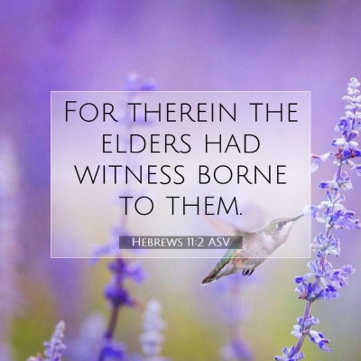 Picture 07 - Hebrews 11:2 ASV - For therein the elders had witness borne to - Bible Verse Picture