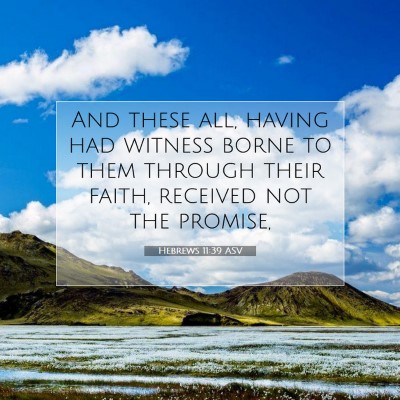 Picture 07 - Hebrews 11:39 ASV - And these all, having had witness borne to them - Bible Verse Picture