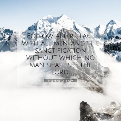 Picture 07 - Hebrews 12:14 ASV - Follow after peace with all men, and the - Bible Verse Picture