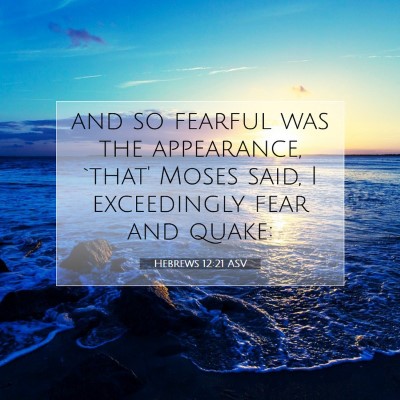 Picture 07 - Hebrews 12:21 ASV - and so fearful was the appearance, `that' Moses - Bible Verse Picture