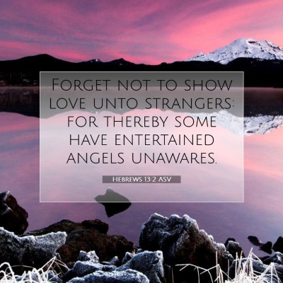 Picture 07 - Hebrews 13:2 ASV - Forget not to show love unto strangers: for - Bible Verse Picture