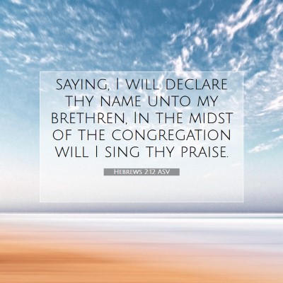 Picture 07 - Hebrews 2:12 ASV - saying, I will declare thy name unto my brethren, - Bible Verse Picture